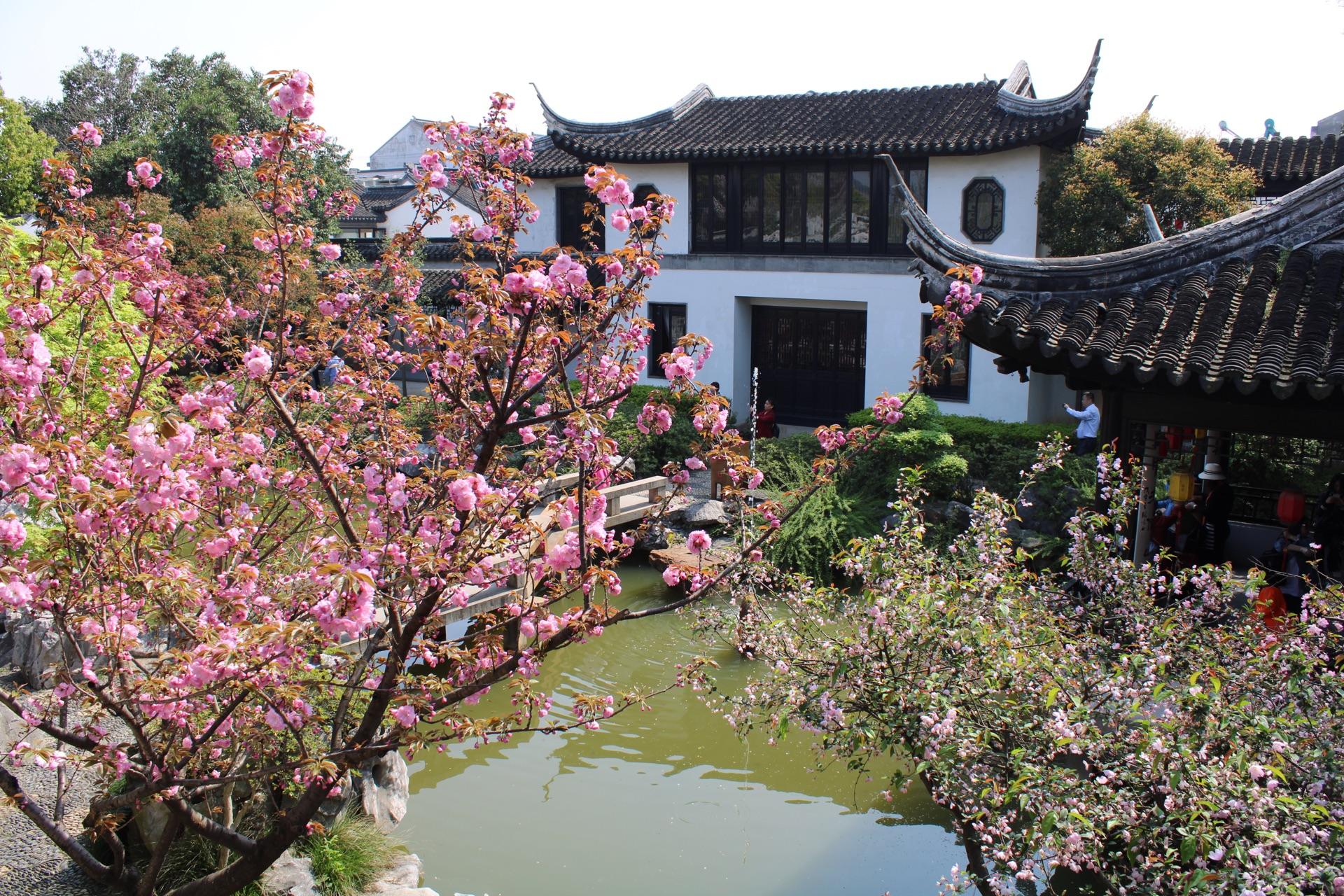 苏州免费古镇最值得去的景点,苏州最适合旅游的古镇