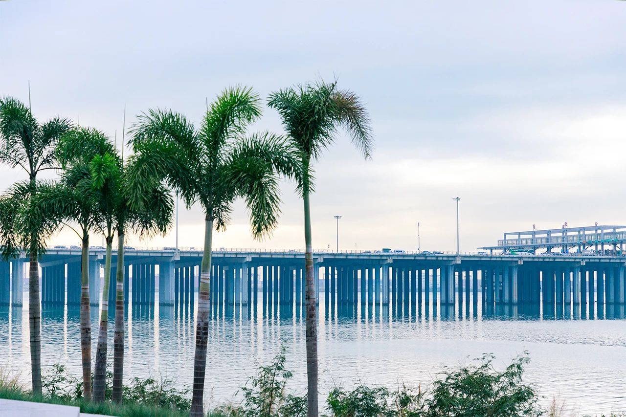 深圳65岁老人免费游景点,深圳必去十大免费网红景点