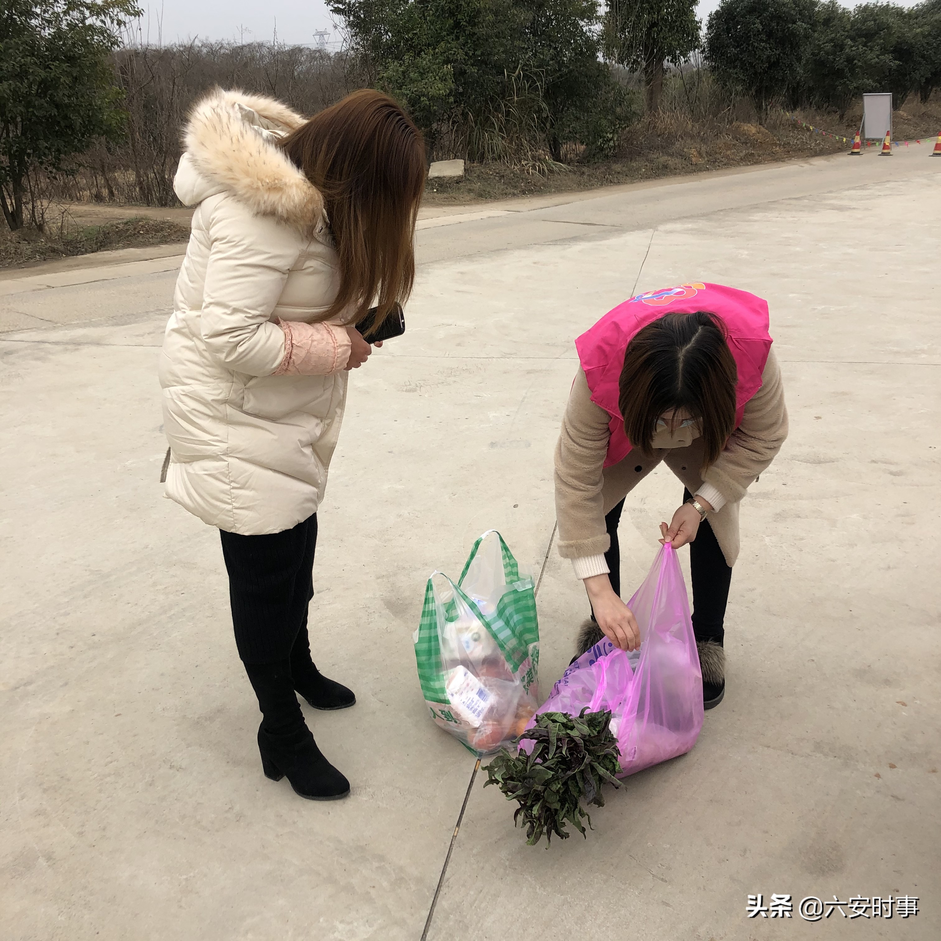 青山乡：疫情就是命令，巾帼彰显担当