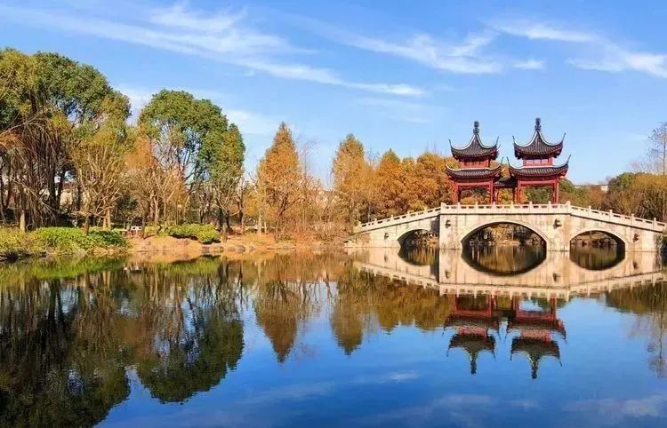 深秋回暖，安排！沪上各区的深秋美景，你准备好打卡了吗？
