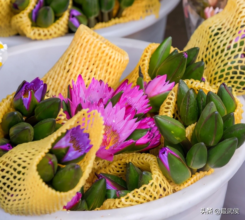 超便宜！成都铁轨下的花市5元买回一个春天！