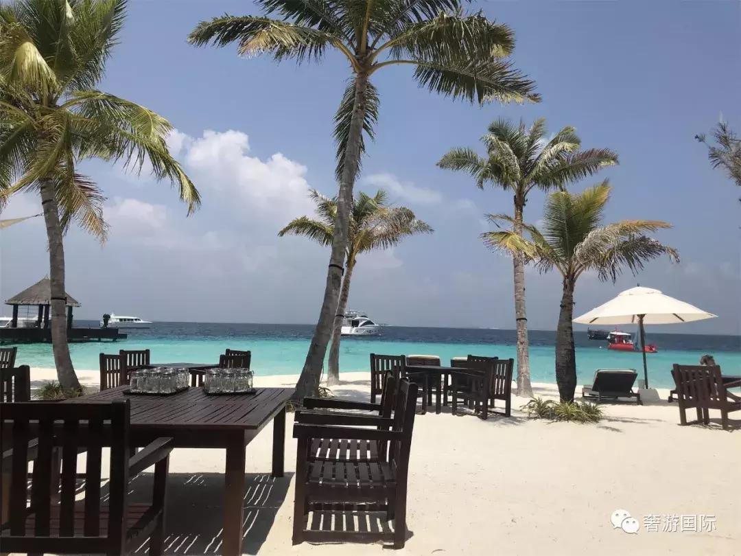 马尔代夫jv岛攻略,马尔代夫v岛