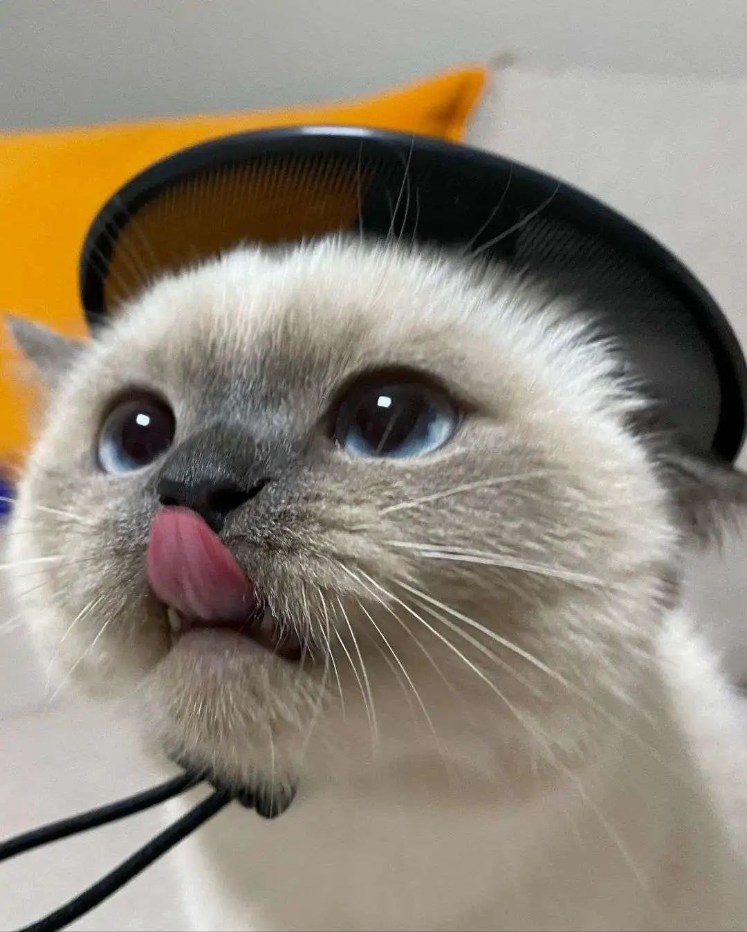 煤老板爆红完整版,煤老板ins