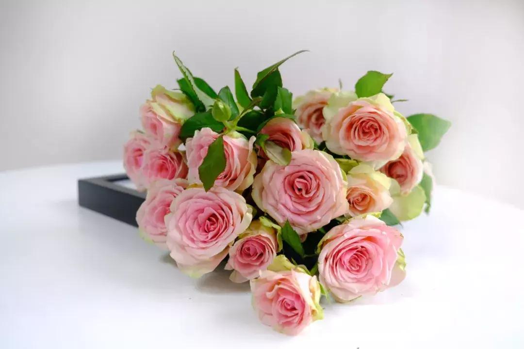 那些年你爱过的小说女配,那些年你爱过的老歌