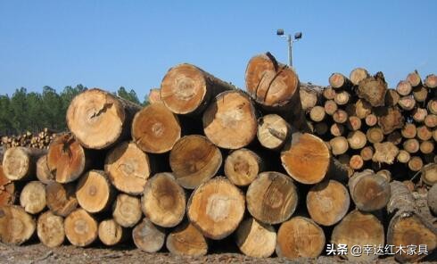 崖豆木属于国标红木吗,国标红木之崖豆木