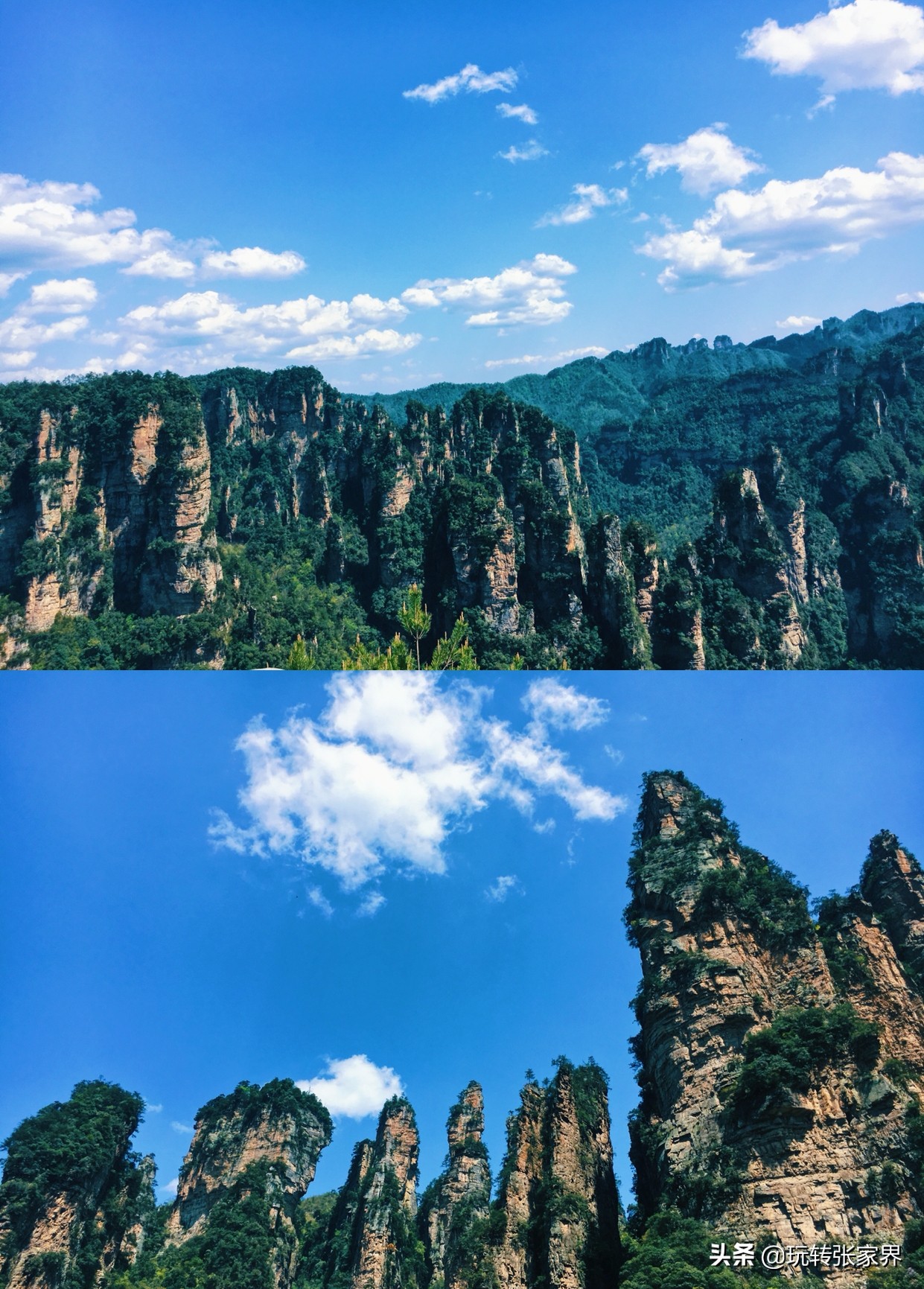 长沙到张家界旅行攻略路线推荐图,长沙到张家界自由行怎么走