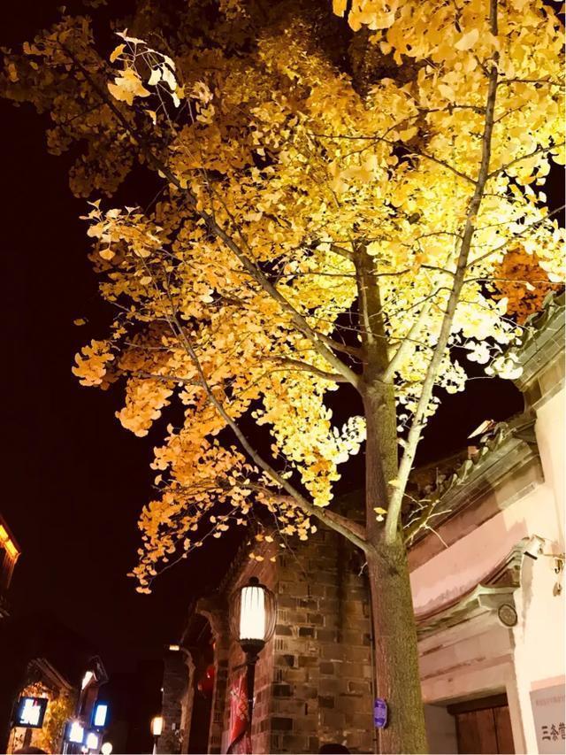 南京秋天旅行攻略,来南京体验秋天浪漫