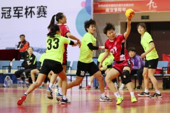 天啦噜！手球风靡欧洲，球门居然这么小？