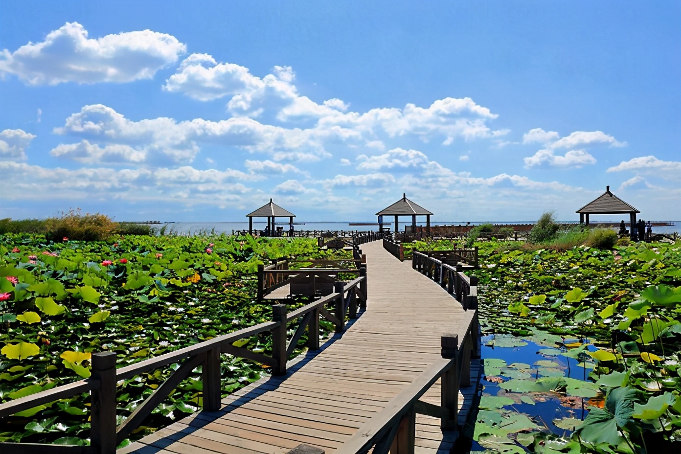 内蒙古一处4*级A**景区，风景秀丽媲美西湖，被誉为“塞外西湖”