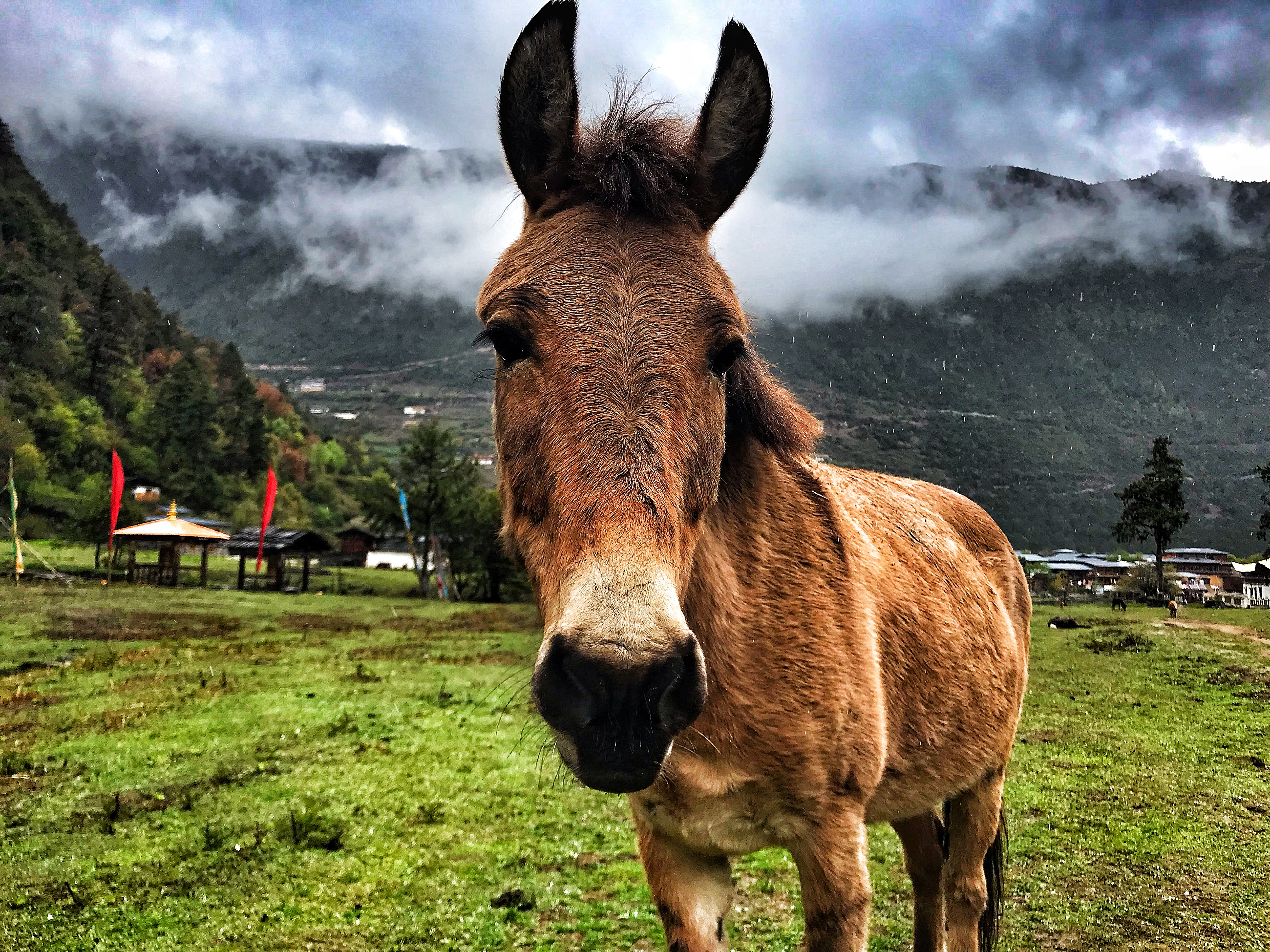 徒步天堂雨崩之行,媲美雨崩的徒步路线