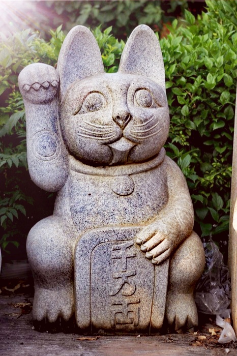 招财猫涉嫌哪些违法,招财猫涉嫌侵权