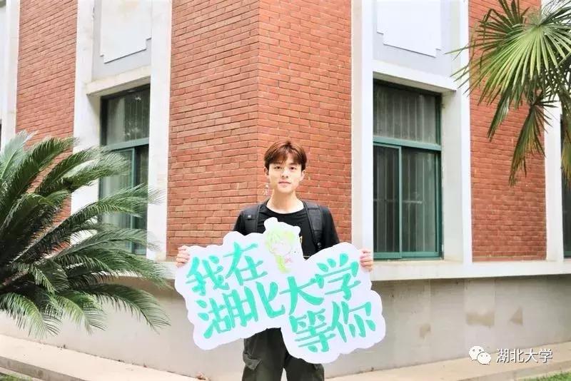 高考志愿湖北大学,高考志愿填报湖北大学