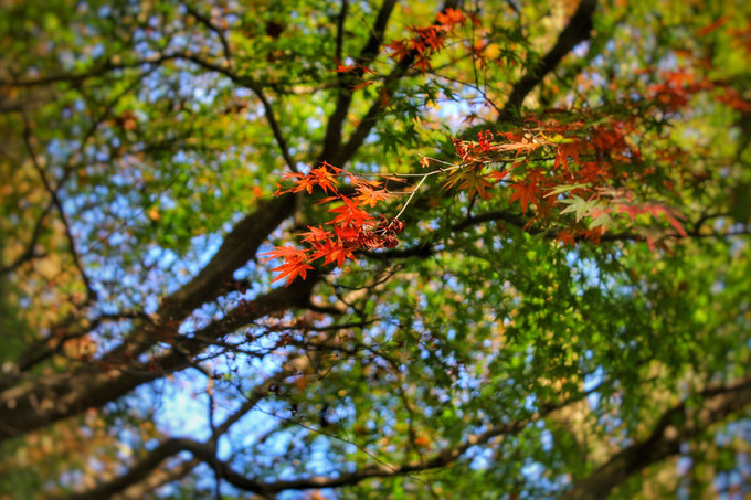 湖州周日游玩攻略推荐,湖州出游推荐