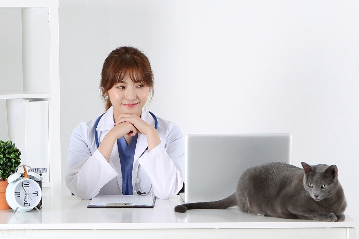 细小病毒会通过什么传染,细小病毒对人的影响