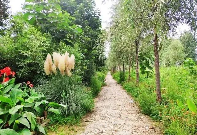 农家乐改民宿,农家乐旅游转型