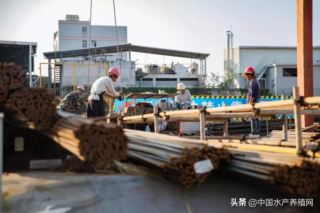 2017十大水产动保企业,水产饲料企业排行