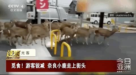 疫情当下快失业了怎么办,疫情期间下岗失业人员补贴政策