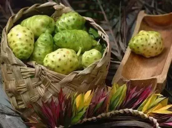 可以致富的植物,可以发家致富的五种植物