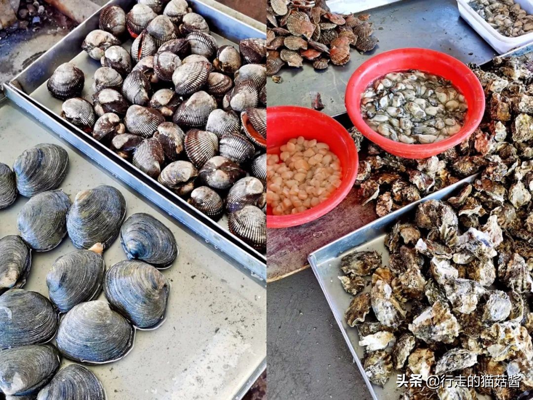 烟台海鲜面哪家最好吃,烟台美食面朝大海现捞现吃