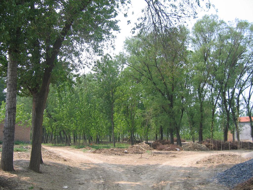 济南济阳名字由来,齐鲁地名