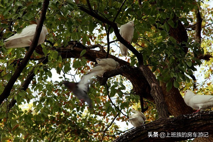 周末微旅行第一季,周末微旅行石湖