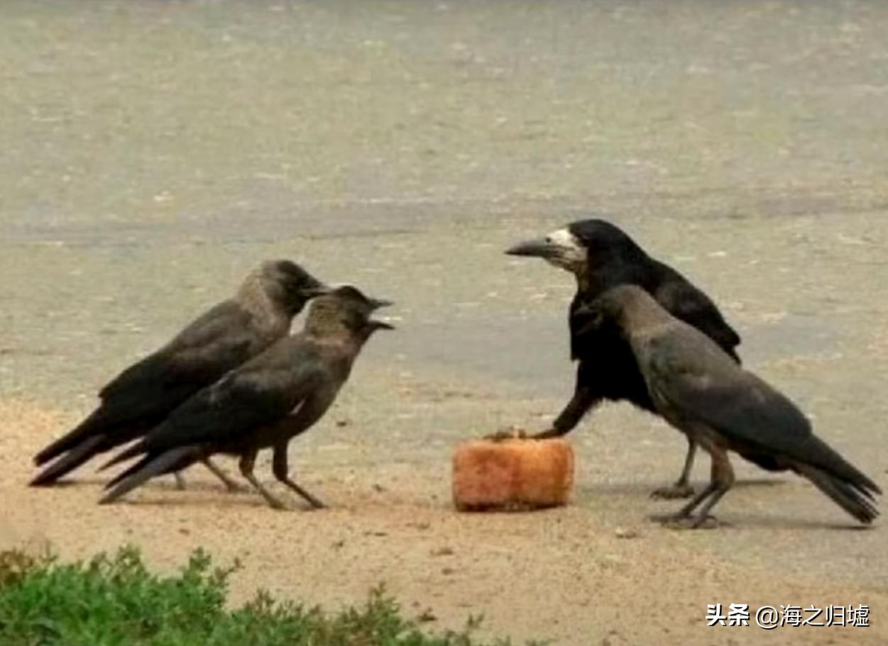 16张不可思议的巧合照片,33张不可思议的巧合照片