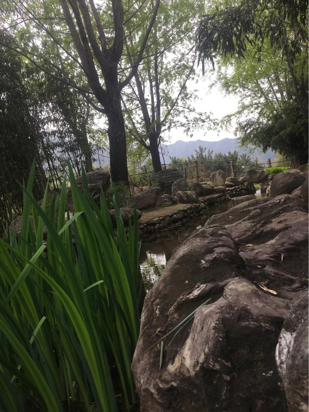 行走在路上的歌曲,行走在路上的真实图片