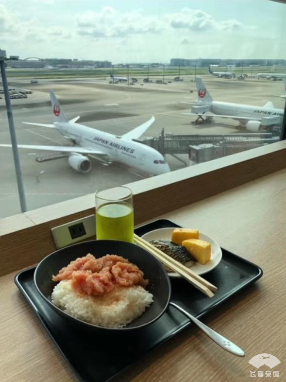 日航飞机头等舱体验视频 (日航787商务舱体验)