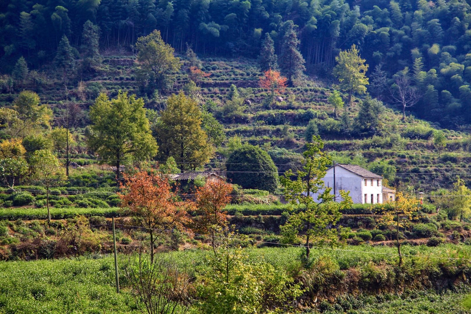 安徽黄山被忽略的一个小众旅游地,原创安徽皖南隐藏着一处桃源仙境