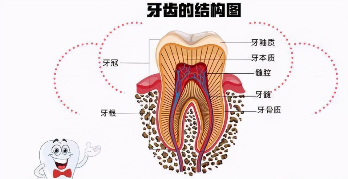 牙齿残根不疼不拔好吗,牙齿残根不疼