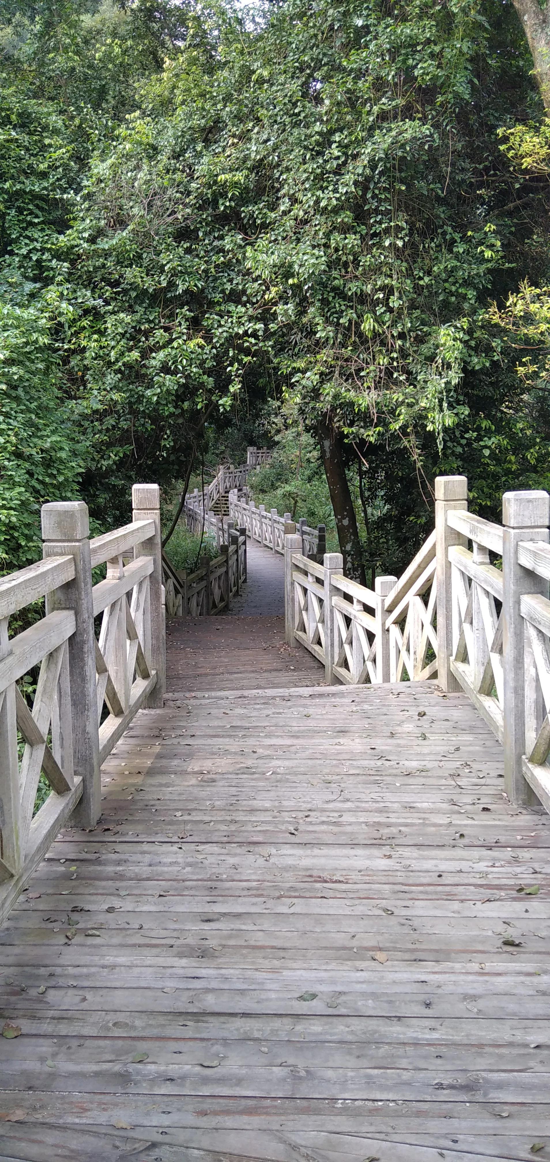 良凤江国家森林公园在哪里啊,良凤江国家森林公园