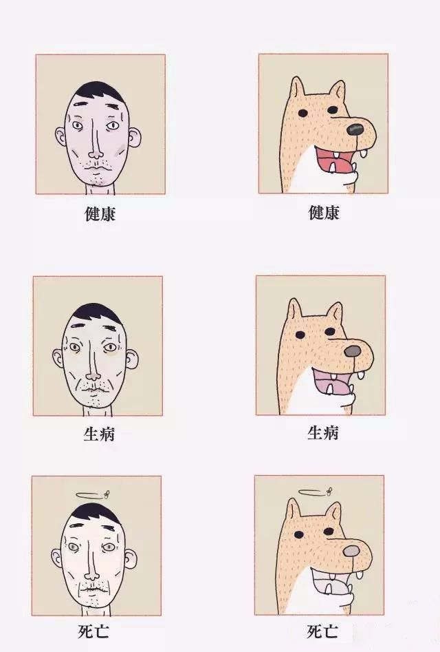 狗狗天气热生病怎么办呢,狗狗热了怎么办