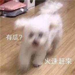 不管多高冷闷骚的西安年轻人，都抵挡不住这波“吃瓜的诱惑”