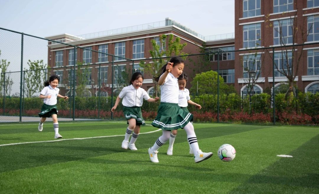 南京外国语学校排行,南京最隐秘的一所大学