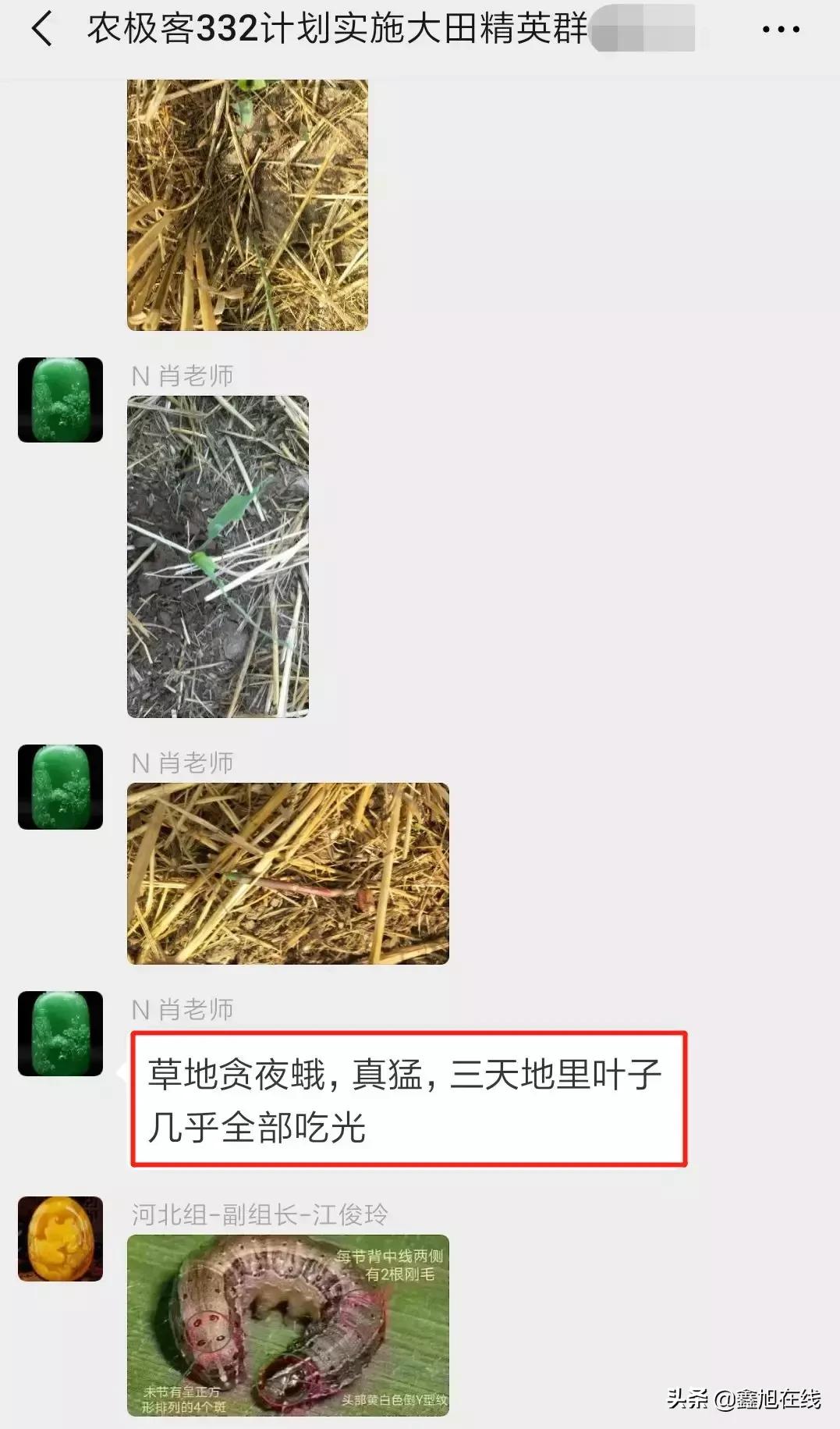 9大肉虫防治，赶紧认清