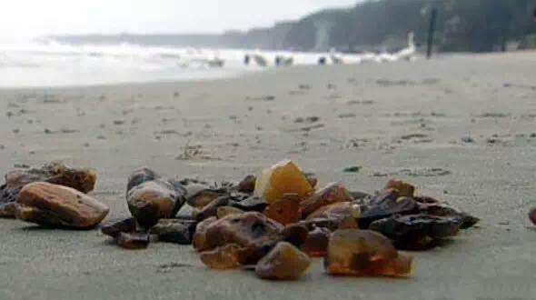 海边捡瓶子赚钱,国外捡蜜蜡