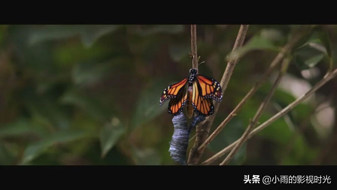 周星驰幻想视频,周星驰功夫梦电影