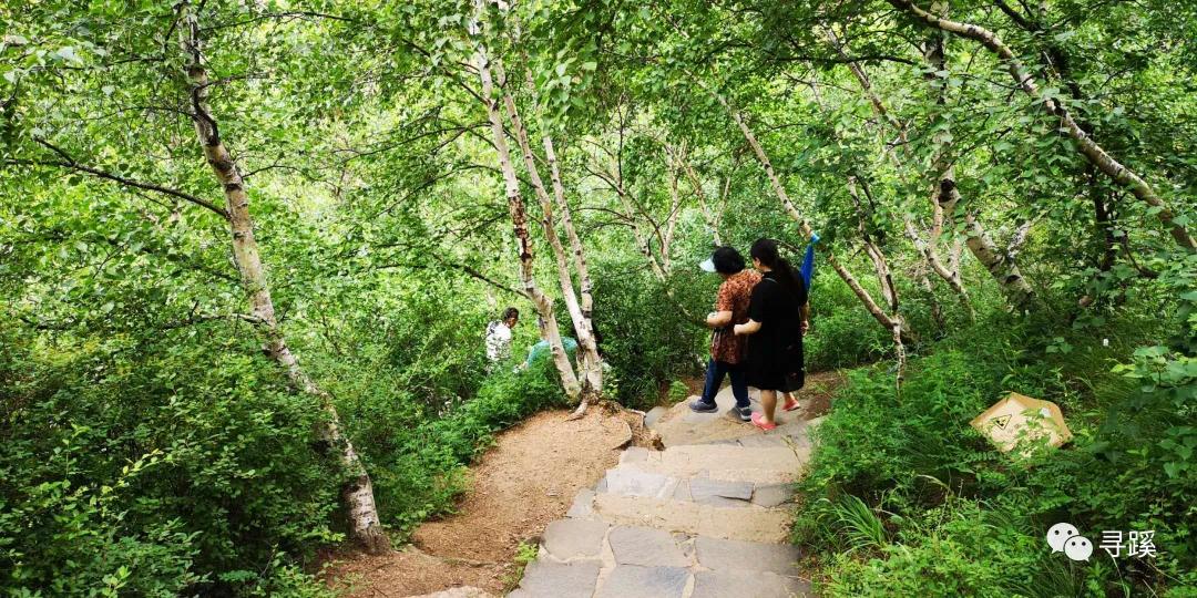 内蒙古大草原自驾游精品线路,辉腾锡勒草原黄花沟旅游攻略