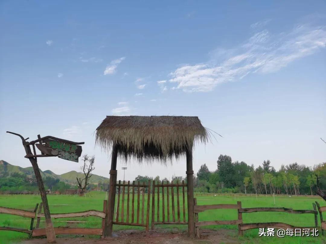 因疫新生｜|玉米冒险村8月8号喊你来嗨