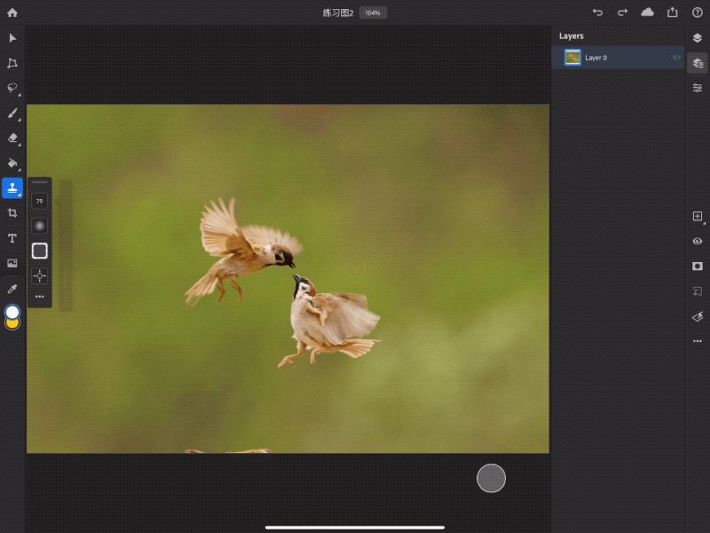 ipad版ps是什么,ipad版ps和电脑版区别