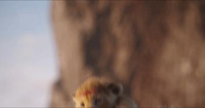 狮子王真兽版,狮子王真实版合集