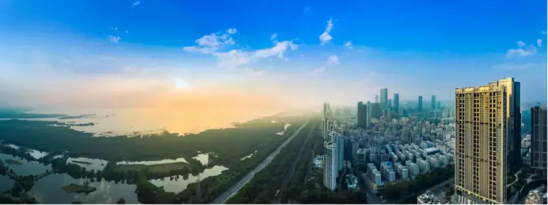 绿景红树湾壹号b座开盘,绿景红树湾壹号最新消息