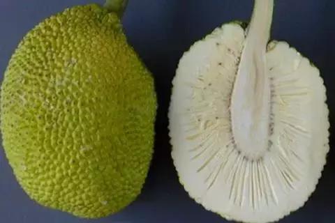 世界上七大罕见水果叫什么名字,世界十大罕见水果排行