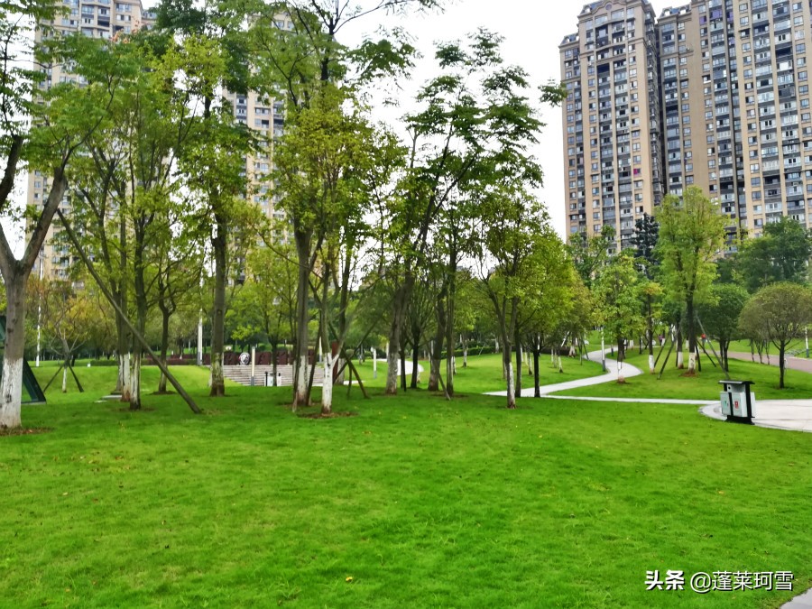 自贡汇东足球,自贡5人制足球联赛