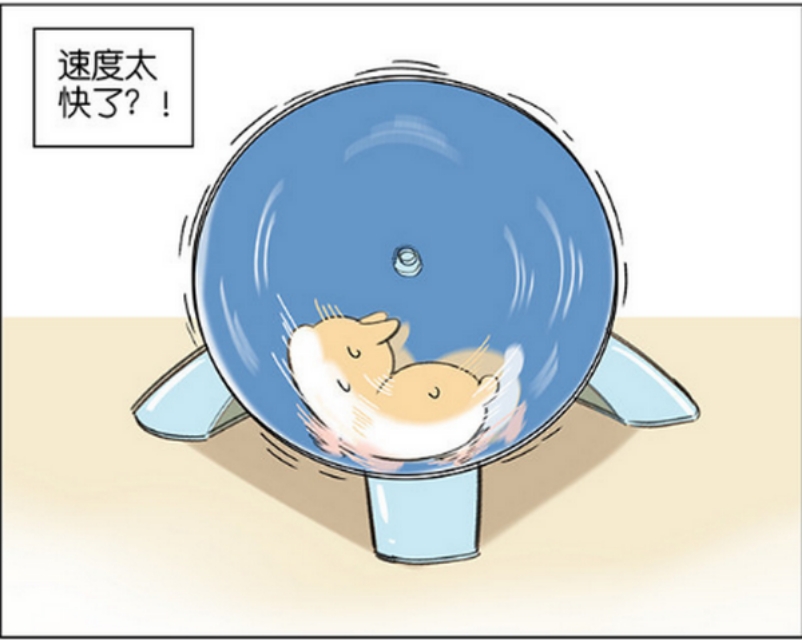 仓鼠跑步速度有多快,仓鼠跑步的速度有多快