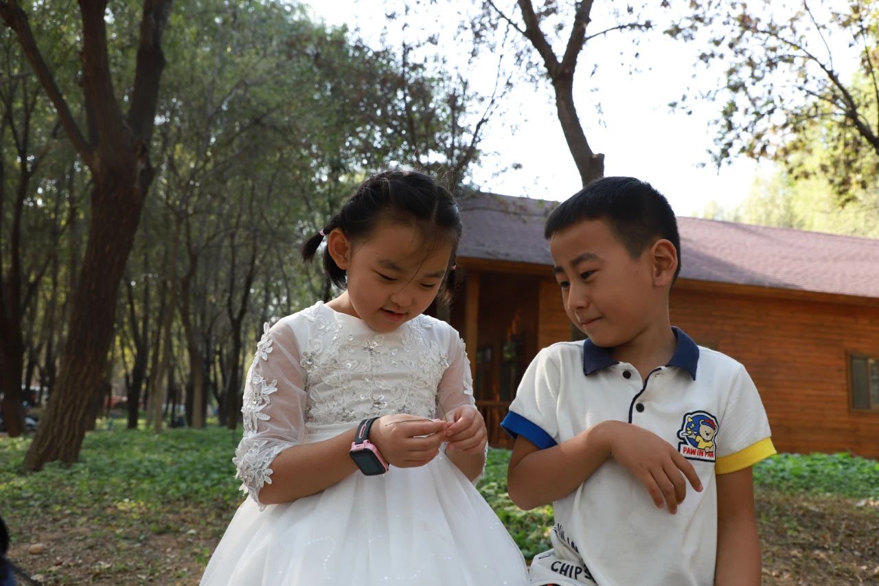 山东王屋湖国家湿地公园,山东最美湿地公园