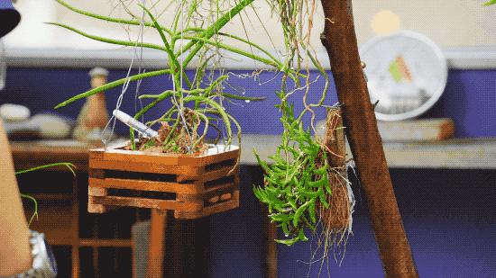 日本违建别墅,日本房屋违建