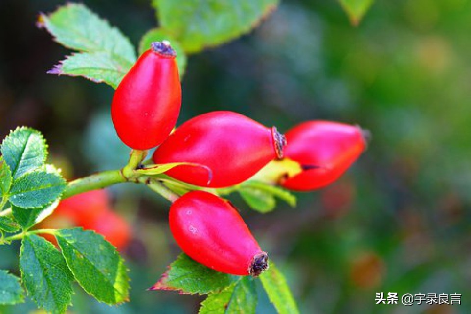 最近微信很火的句子句句霸气洒脱,微信上最霸气的句子