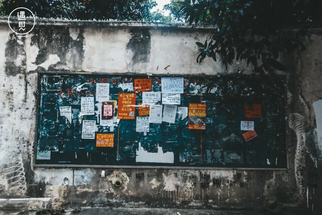 再见了沥川原唱视频,再见王沥川完整视频