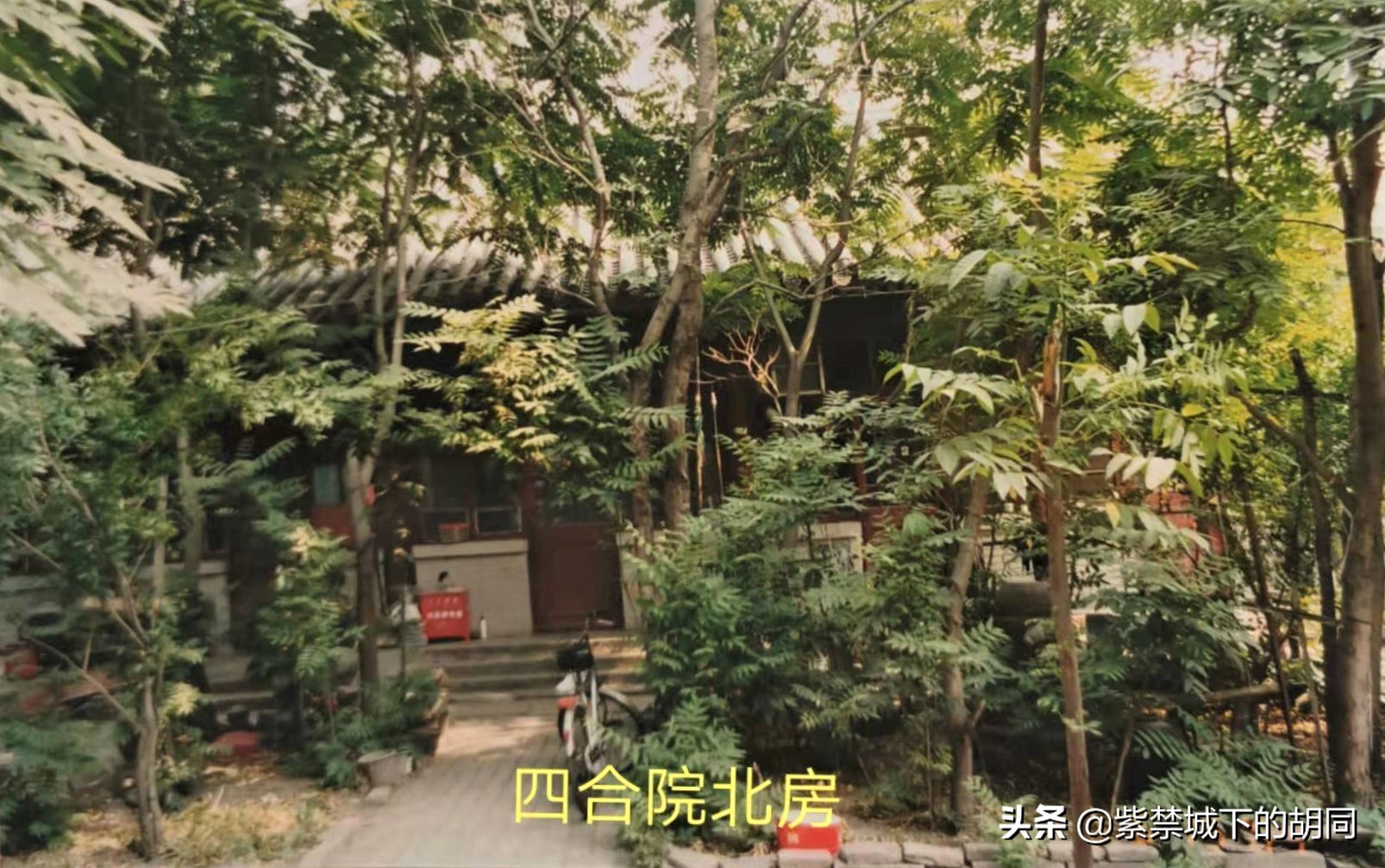 一篇*今条头日**文章，惊喜见到阿拉善王府的“格格”